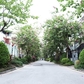 广州广州豪华温泉度假别墅(伴山二路店)酒店提供图片