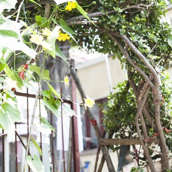 青岛海边度假屋老洋房酒店提供图片