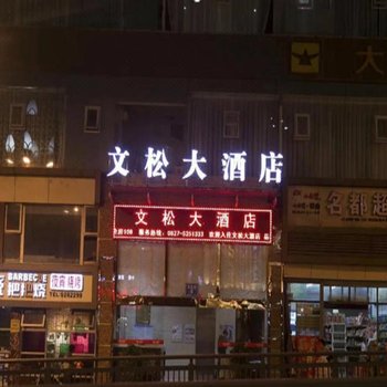 巴中文松大酒店酒店提供图片