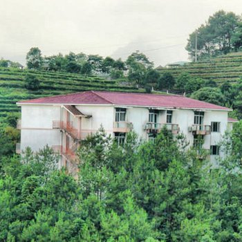 龙岩云顶茶园度假村酒店提供图片