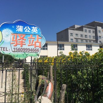 特克斯蒲公英驿站