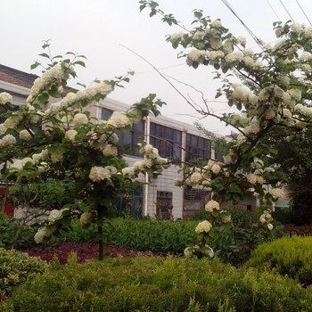 常州扬阳杨家庭旅馆