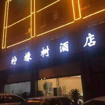 滁州柠檬树精品主题酒店酒店提供图片