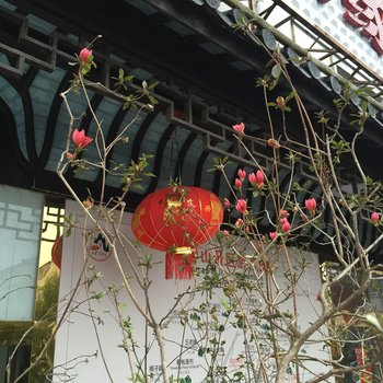 九华山凤凰缘宾馆酒店提供图片