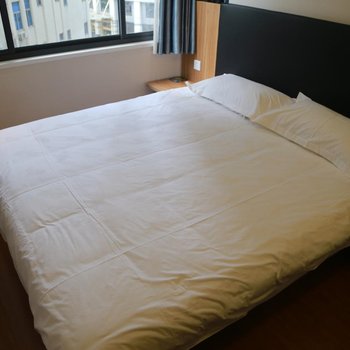 雅愉精品酒店(上海外滩南京东路店)酒店提供图片