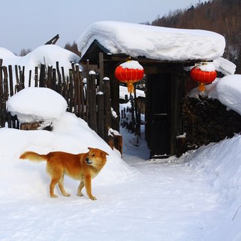 雪乡二浪河老许家庭旅馆酒店提供图片