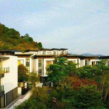 ������ͭ�����(����·�ֵ�)�Ƶ��ṩͼƬ