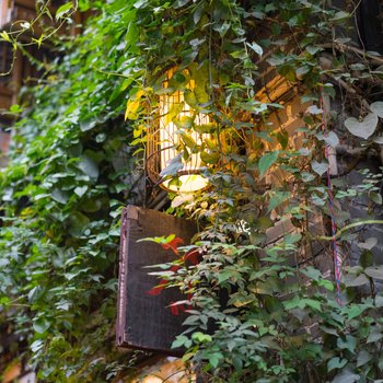 重庆磁器口的80后鱼摆摆特色民宿(天马路分店)酒店提供图片