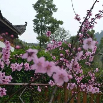 武汉深山第二排农家饭庄