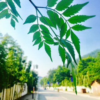 景德镇静山青年旅舍酒店提供图片