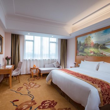 维也纳酒店(深圳龙岗爱南路店)酒店提供图片