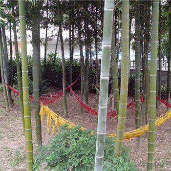 长兴备鹊山农家乐酒店提供图片