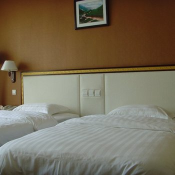 昆明东川泰隆商务大酒店酒店提供图片