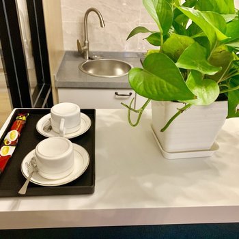 白山懿雅高端民宿(浑江大街分店)酒店提供图片