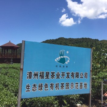 南靖树海瀑雾茶庄园酒店提供图片