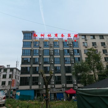 红树林旅馆酒店提供图片