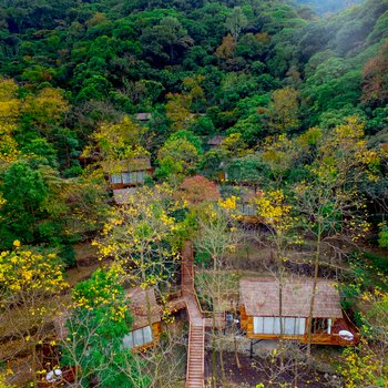 广州态林山居度假木屋酒店提供图片