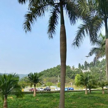 江门沐德会所酒店提供图片