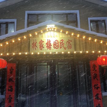 雪乡林家梅园民宿酒店提供图片