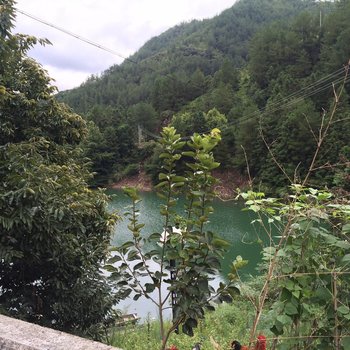 云和紧水滩山村农家酒店提供图片