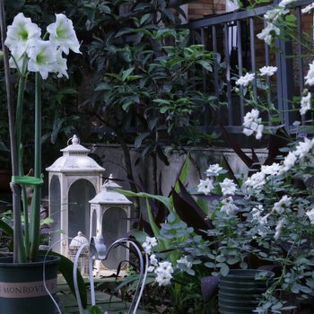 成都空中花园精品民宿(青羊大道草金路口店)酒店提供图片