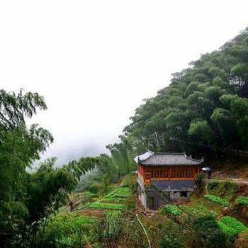 黄山黟县木坑竹海竹云阁农家客栈酒店提供图片