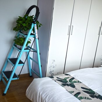 成都狸狸的斐然小居普通公寓酒店提供图片