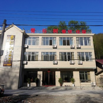 泾县青杉树度假山庄酒店提供图片