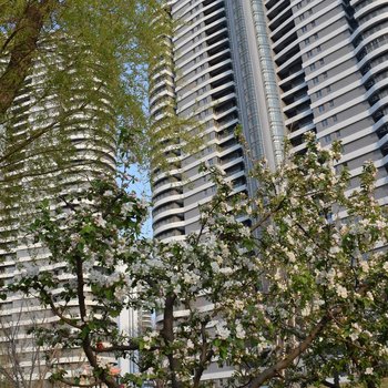 葫芦岛绥中佳兆业浪淘沙海景公寓酒店提供图片