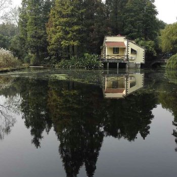 上海共青森林公园度假村酒店提供图片