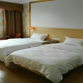 天等县嘉豪商务酒店酒店提供图片