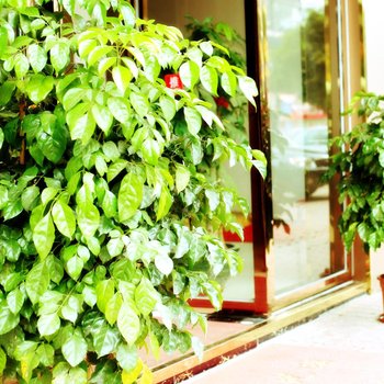 广州恒辉商务宾馆酒店提供图片