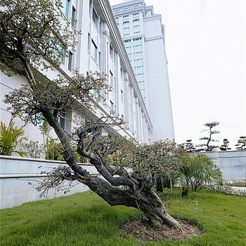 江门威尔逊商务酒店酒店提供图片