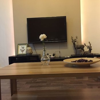 成都石头的家公寓(滨江路分店)酒店提供图片