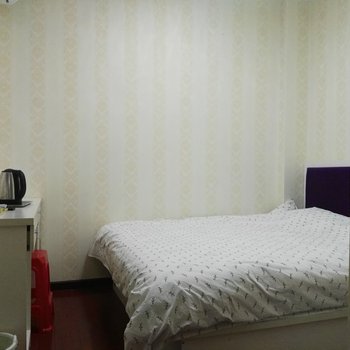 武汉九通公寓(胭脂路毛线分店)酒店提供图片