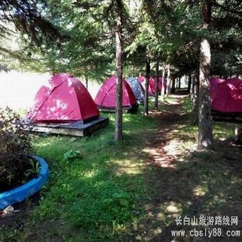 长白山光明林场露营基地酒店提供图片