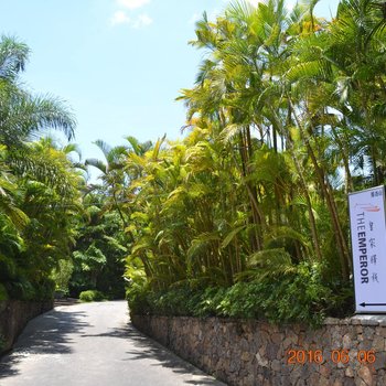 保亭那香山皇家驿栈酒店酒店提供图片