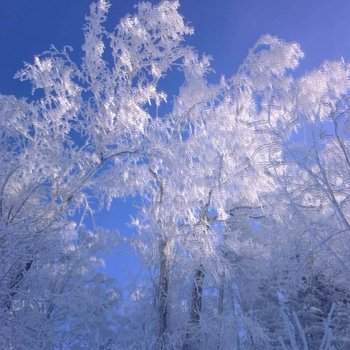 哈尔滨雪谷亮丽特色民宿酒店提供图片