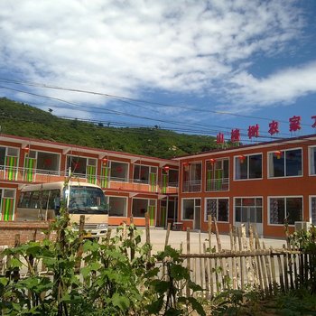 雾灵山山楂树农家大院
