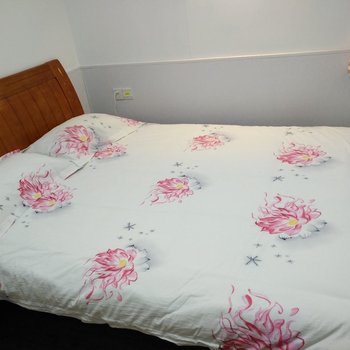 上海浦东机场地铁公寓酒店提供图片