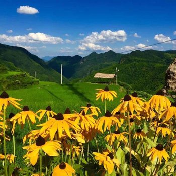 遂昌高山杜鹃农家酒店提供图片