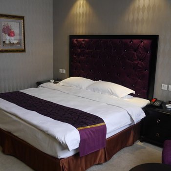 山西新紫金酒店酒店提供图片