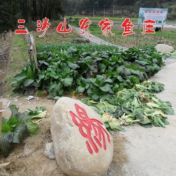 上饶三清山农家鱼庄酒店提供图片