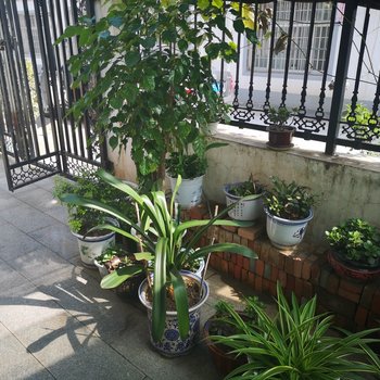 阳城佩奇的民宿酒店提供图片