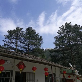 九华山松园山庄酒店提供图片