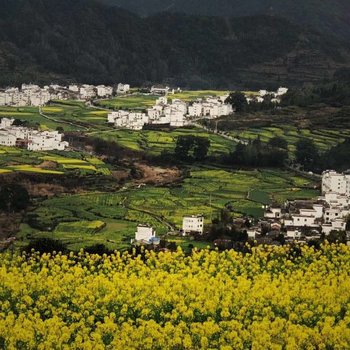 婺源东方的爱丽丝客栈酒店提供图片