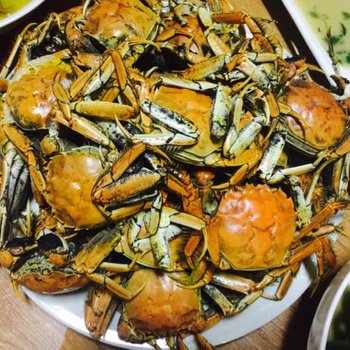 盘锦红海滩陈艳农家院用户上传图片