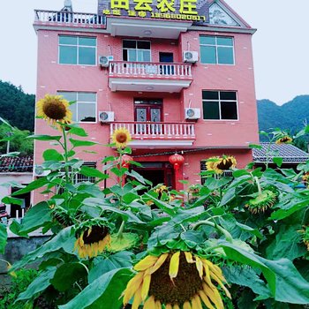 杭州田云农庄