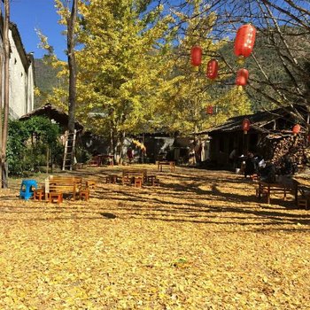 保山银杏村千叶归农家乐