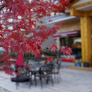 千岛湖雨山前民宿酒店提供图片